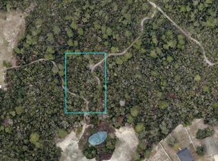 MORGAN (PAPER) STREET LOT 17, DELTONA, FL 32725