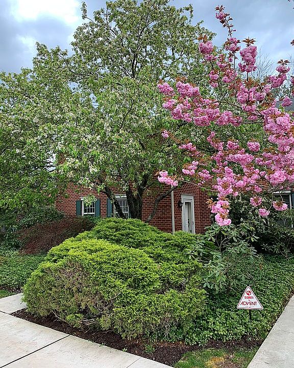 Springtime