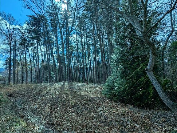 4th image of 30 Eagle Ridge Rd #30-31