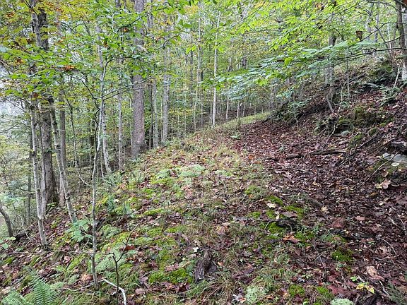 3rd image of 0 Sarver Fork Rd