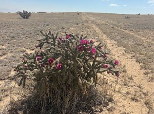 LOT 10 Cuerno Verde Ranches LOT 10, Walsenburg, CO 81089