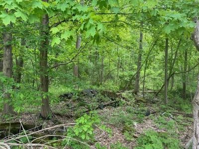  Route 213, Ulster Park, NY, 12487