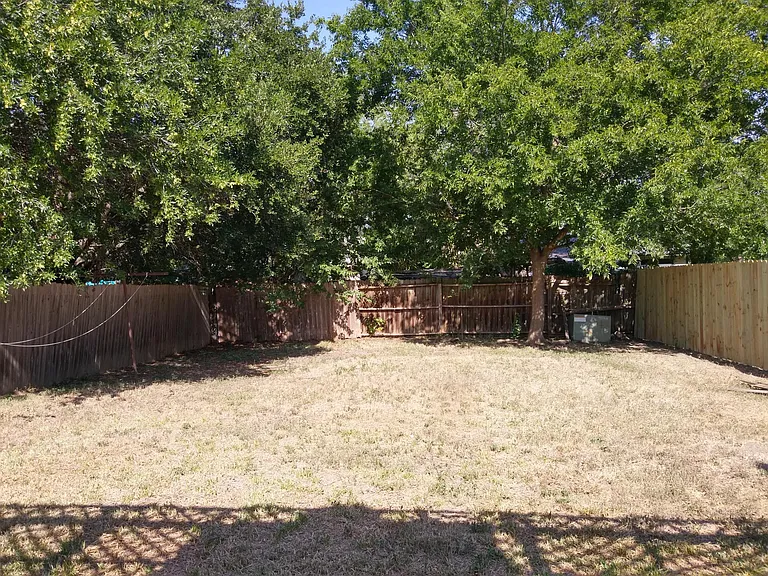 Backyard