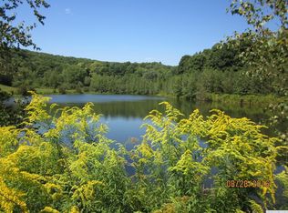 0 Elsohn Rd LOT 2, Pine Plains, NY 12567