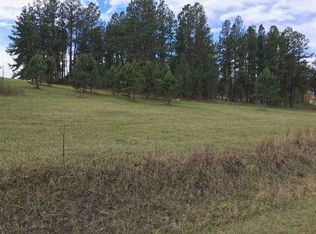22491 Jenny Gulch Rd, Deadwood, SD 57732
