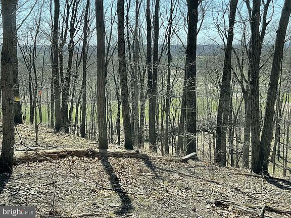 2nd image of 0 Lonely Rd