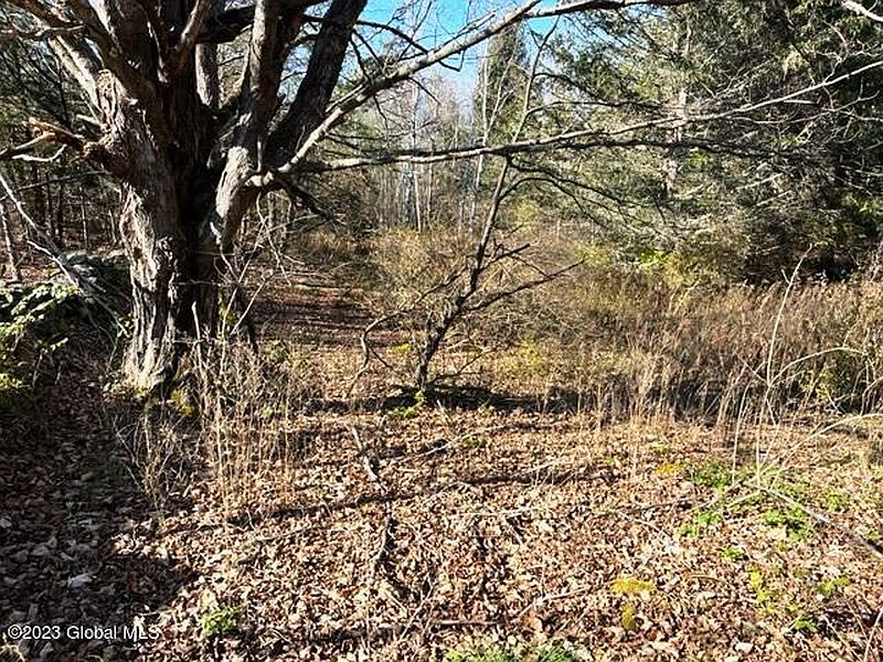 5th image of 200 Manor Creek Road