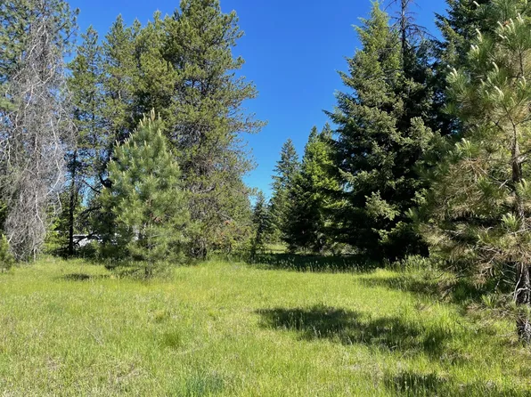 Nhn S Shore Dr, Trout Creek, MT 59874