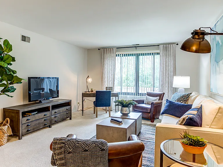 1 Bedroom Living Room