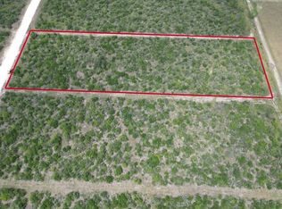 7401 Corrigan Ranch Rd TRACT 28, Skidmore, TX 78389