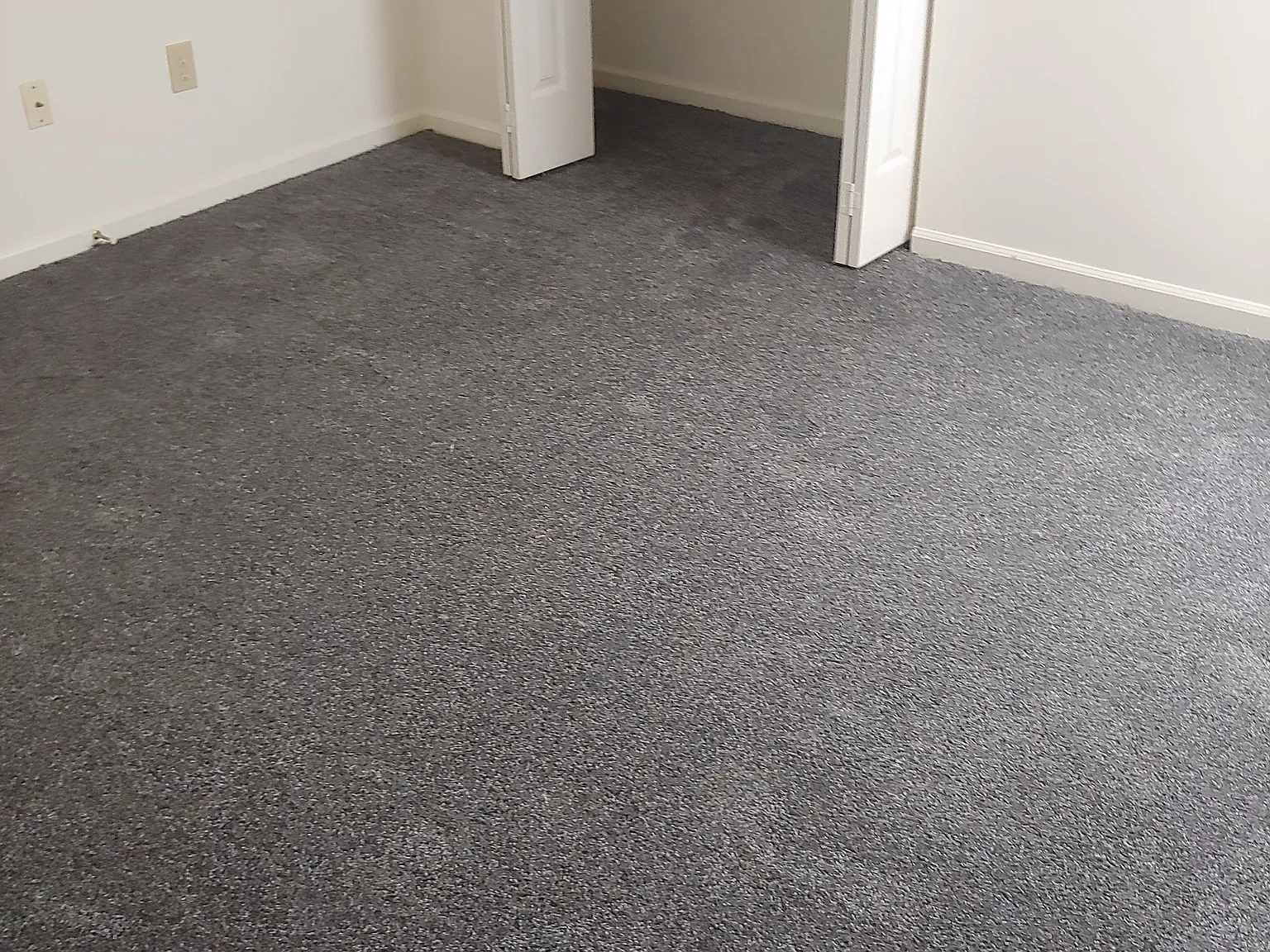 2 bed, 800 sqft, $1,500 — Photo 3