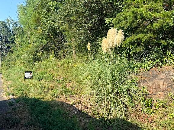 4th image of 1501 Sunset Dr