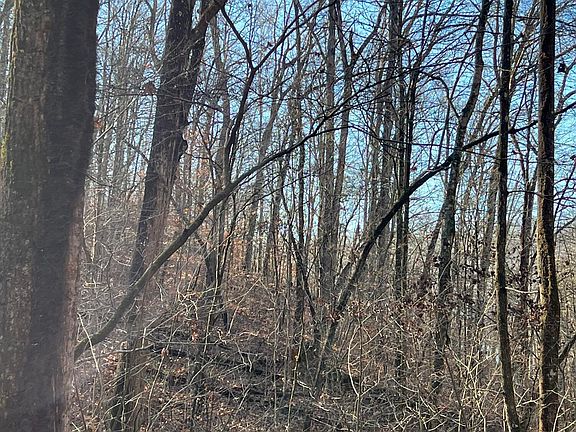 3rd image of Elbow Hollow Ln