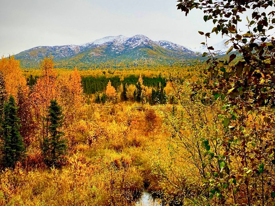 Backyard in the fall.