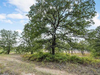 LOT 19 Double B Ranch Rd S, Perrin, TX, 76486