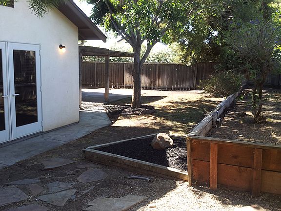 Back yard