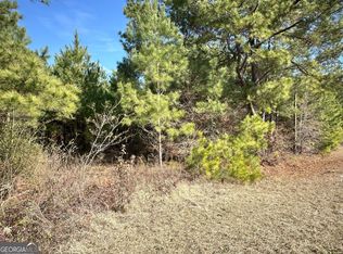 0 Mount Pleasant Church Rd, Pineview, GA 31071