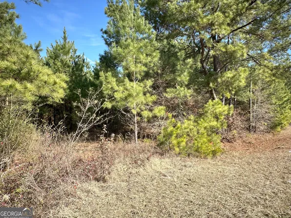 0 Mount Pleasant Church Rd, Pineview, GA 31071