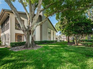 3167 Landmark Dr APT 811, Clearwater, FL 33761