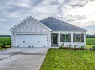 1029 Sandbed Rd, Newton, AL 36350