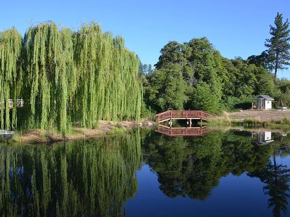 20241 Clydesdale Rd, Grass Valley, CA 95949