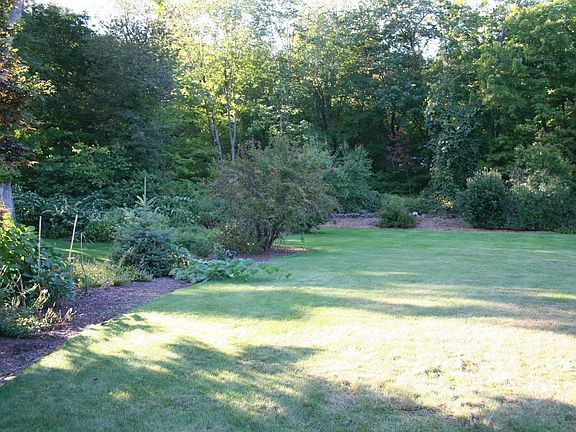 large private back yard