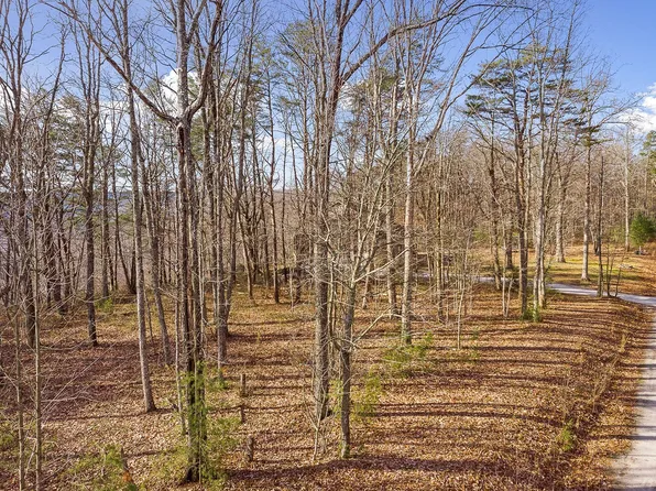14 Eagles Bluff Cir #14, Spencer, TN 38585