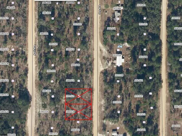 Guy Ave Lot 23, Interlachen, FL 32148