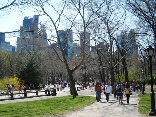 Rented by City Connections Realty | media 2