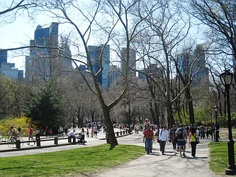 Rented by City Connections Realty