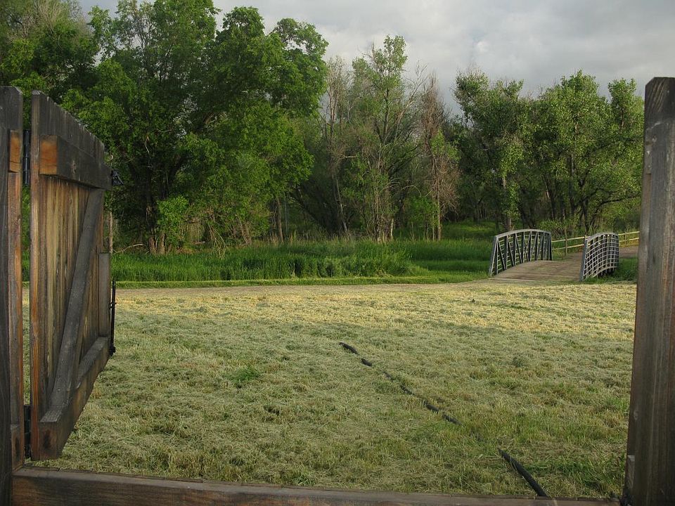 View from patio