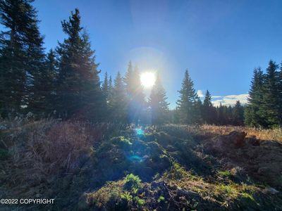 67663 Shavila Rd, Ninilchik, AK, 99639