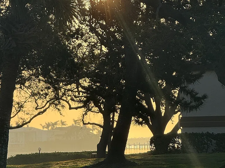 Palma Del Mar Blvd S — Photo 10