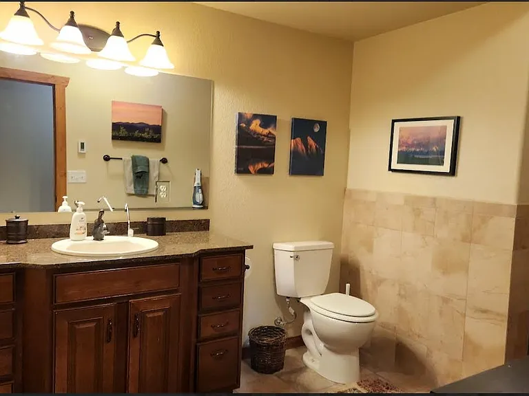 Bathroom, oversize walk in shower with rainhead