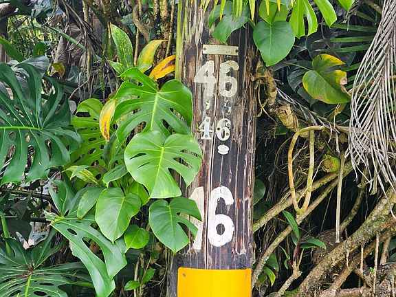 5th image of Plumeria St Lot 6569