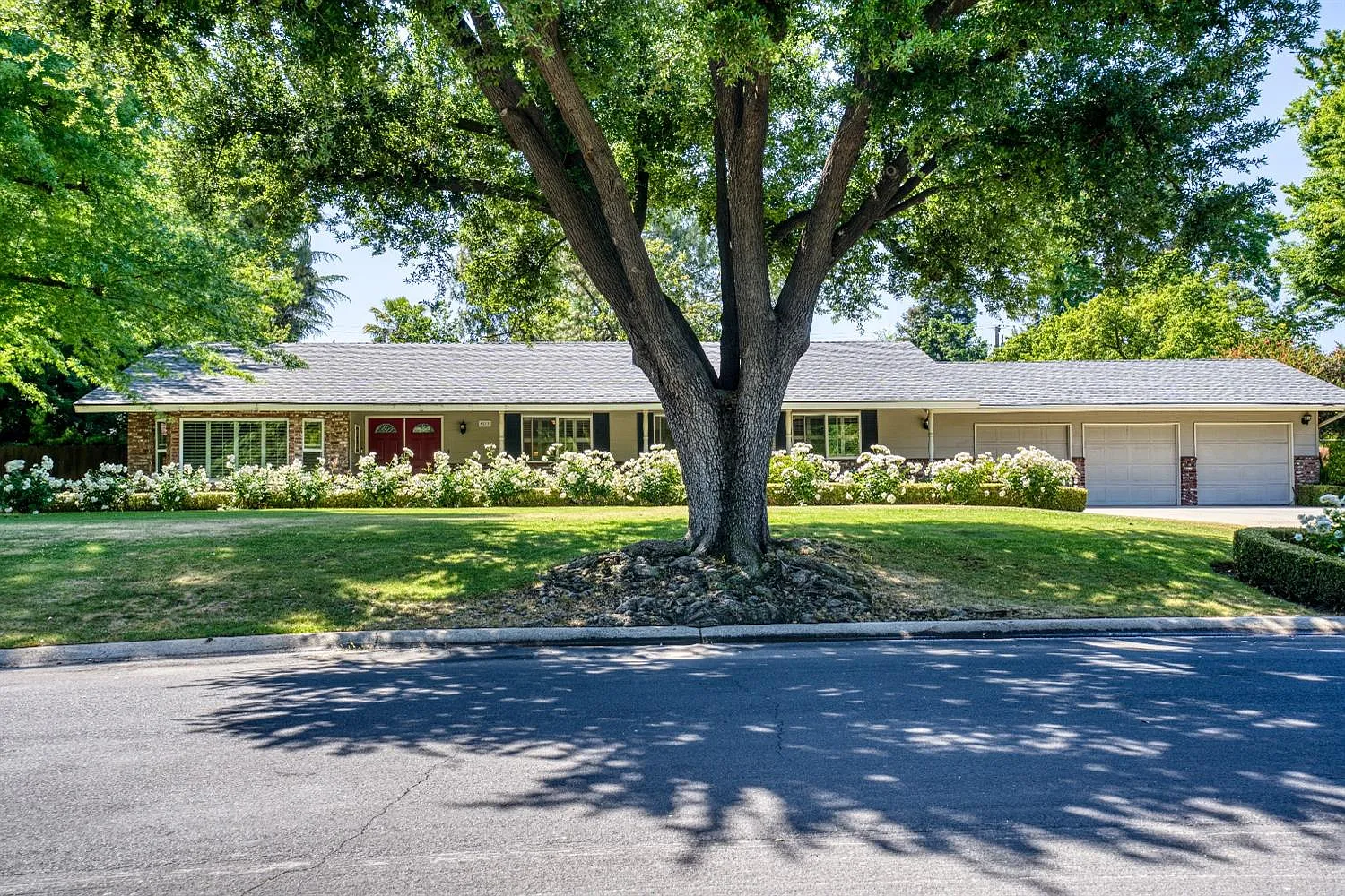 9873 N Tea Party Ln photo 1