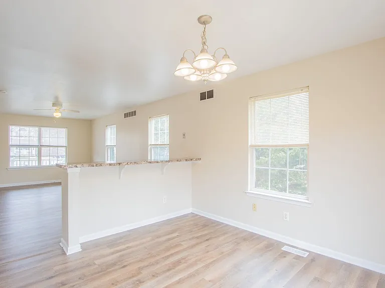 247 Academy Ln — Photo 13