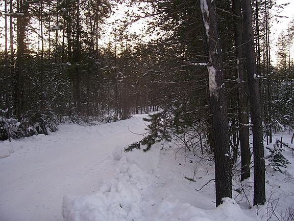 3rd image of 1052 Vista Dr