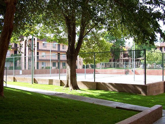 View from the Living Room Window