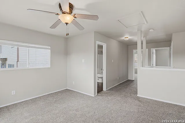 25513 Gold Yarrow — Photo 10