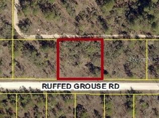 13303 Ruffed Grouse Rd, Weeki Wachee, FL 34614