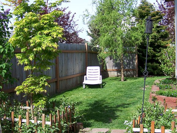 back yard