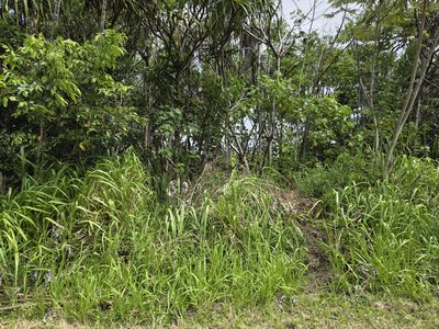 Wehelauniu St Lot 94, Pahoa, HI, 96778