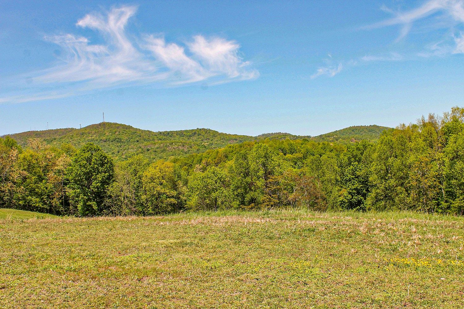 0 Goodridge Rd, Woodbury, TN 37190 Zillow