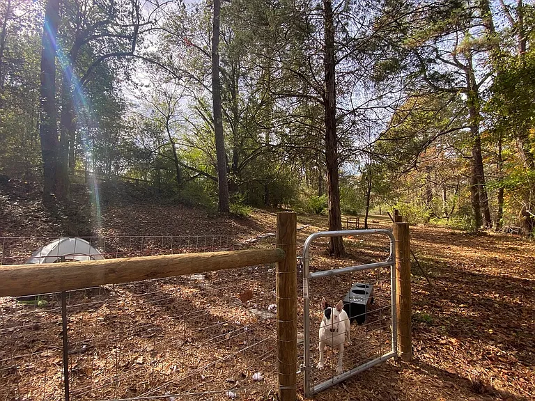 3255 Daniels Bridge Rd — Photo 14