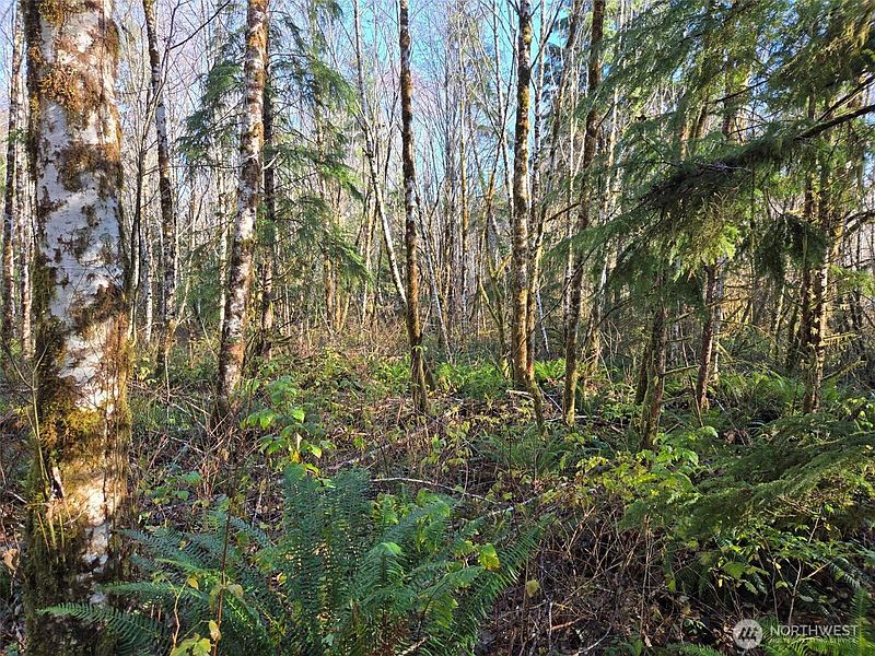 4th image of 0 NKA Fall River Road