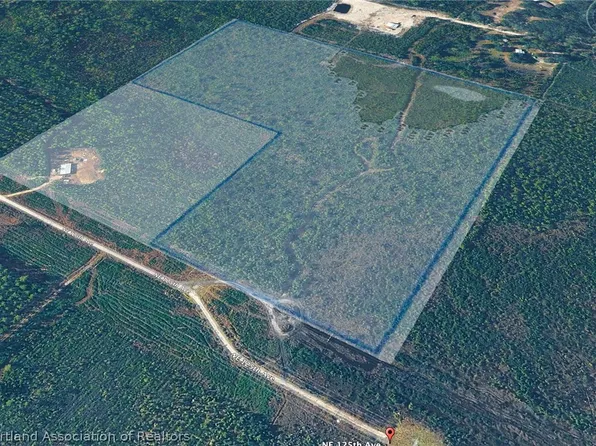 0 NE 125th Ave, Fort Mc Coy, FL 32134
