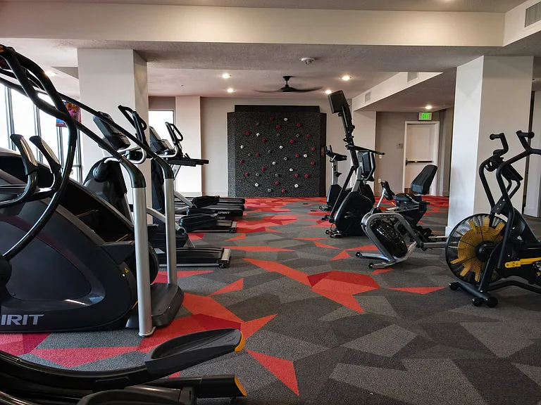 High-End Equipment and Freedom Climbing Wall