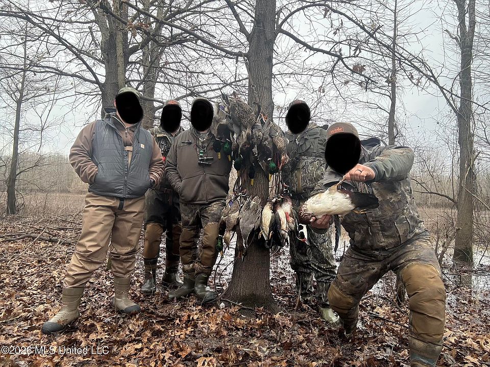 91st image of this home