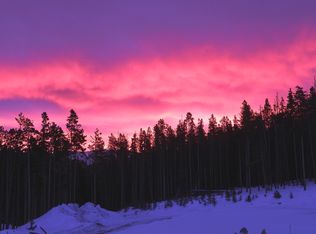 320 Headlight Dr #1, Breckenridge, CO 80424